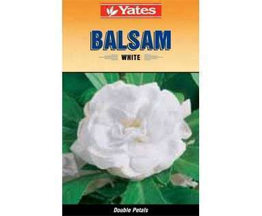 Yates Seeds Balsam White