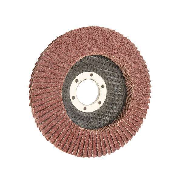Tolsen Flap Disc 125 x 22.2mm 40G