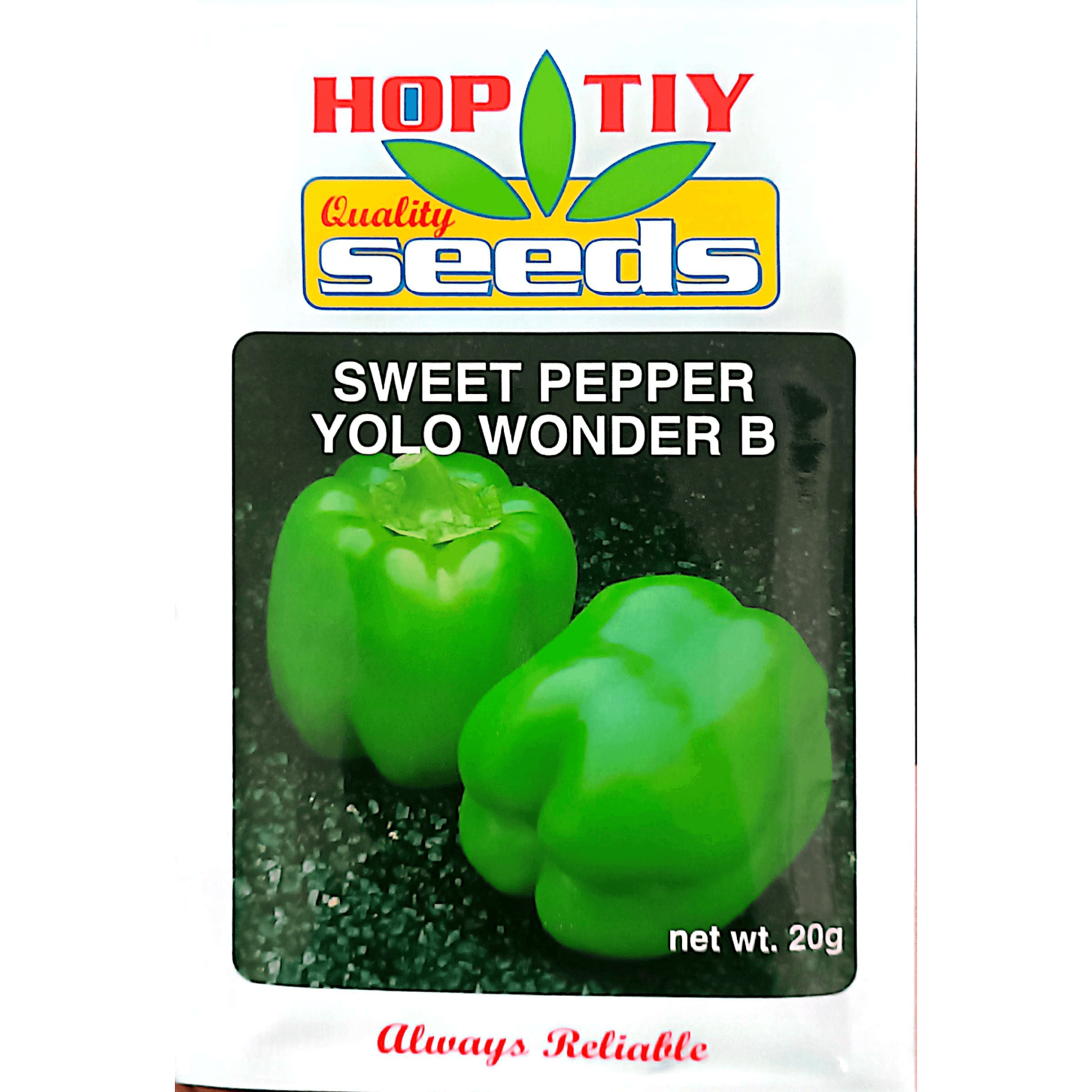 Seeds Capsicum Yolo Wonder 20g