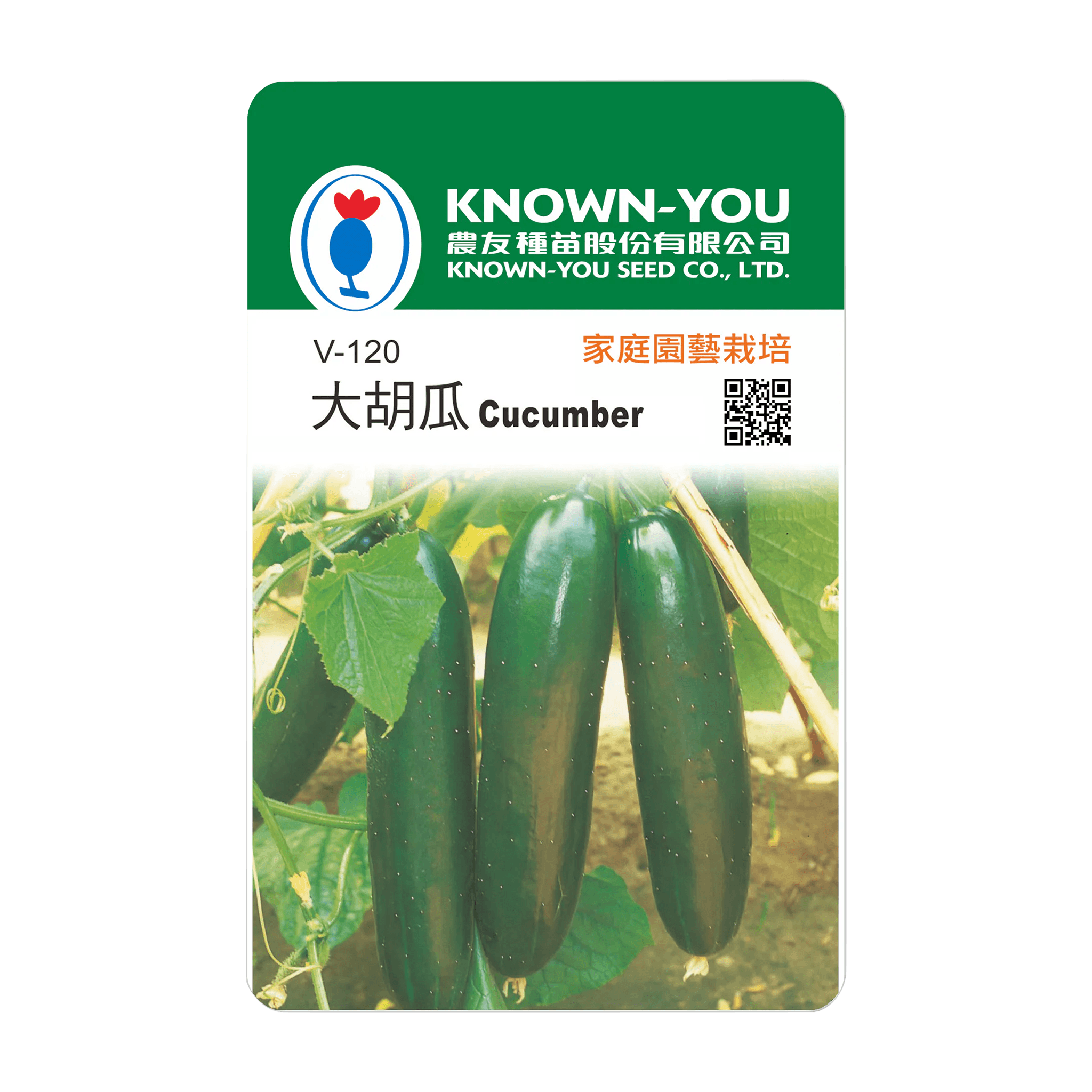 Known You Cucumber (V-120)