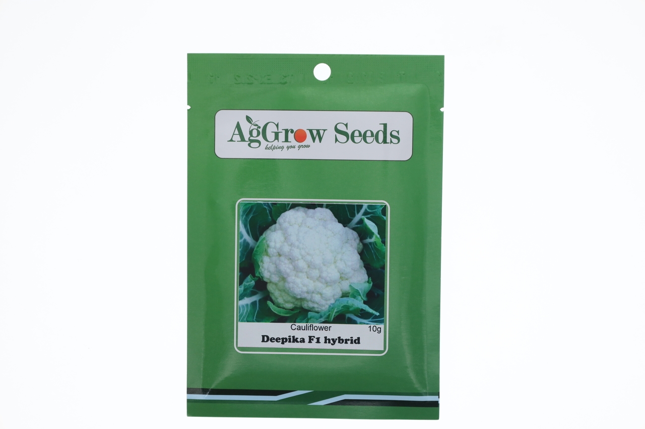 AgGrow Cauliflower (Fulgobi) Seeds Deepika F1 Hybrid 10g