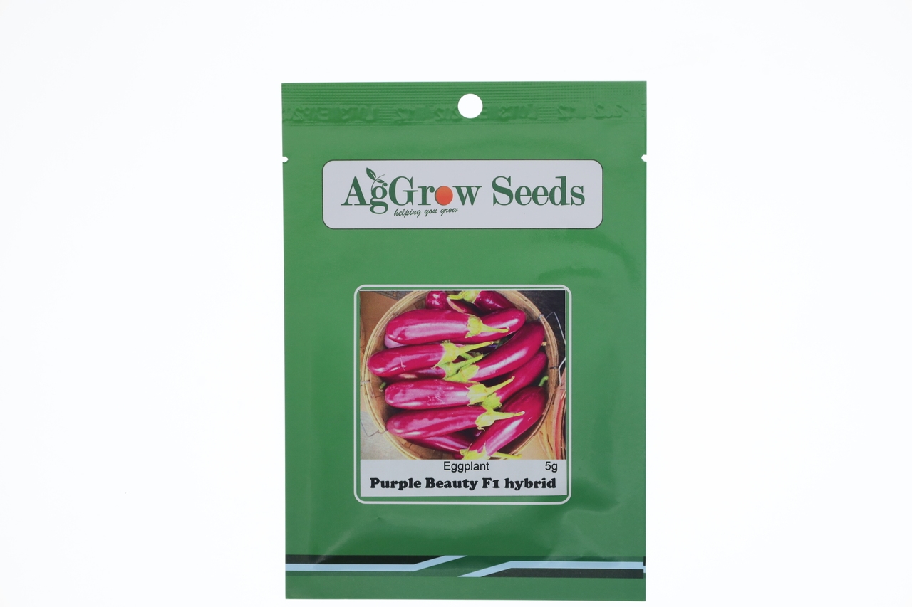 AgGrow Eggplant Seeds Purple Beauty F1 Hybrid 5g