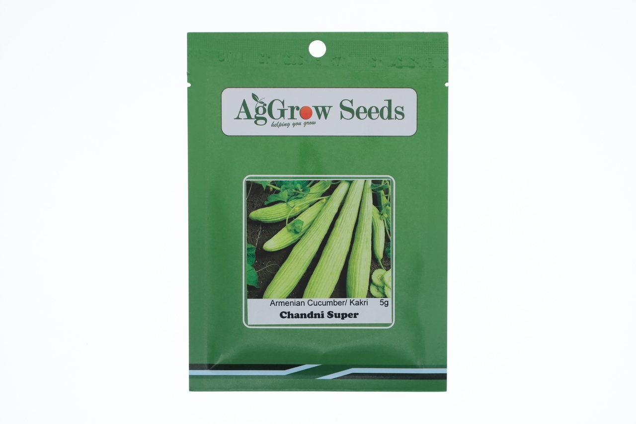 AgGrow Armenian Cucumber (Kakri) Seeds Chandni 5g