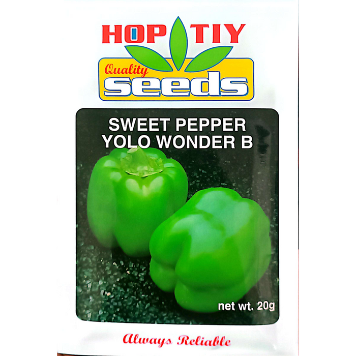 Seeds Capsicum Yolo Wonder 20g