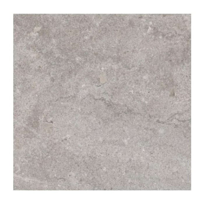 Millennium Floor Tile 300 x 300 #10058 Ceramic Matte (10pc/0.9sqm Ctn)